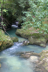 fast mountain river with wild nature around