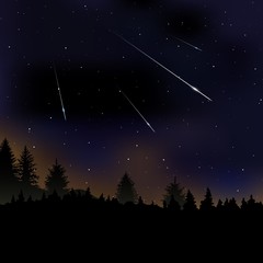 Obraz na płótnie Canvas Vector illustration of Meteor Shower. Falling Perseids on dark night sky. Meteor rain, falling glowing comets on natural landscape at night. Scientific, astronomy background with copy space for text.