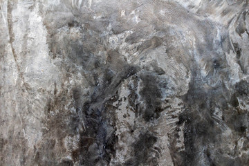 Texture of old gray concrete wall for background.selective focus.