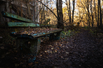 Old destroyed bench next to path