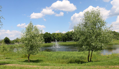 Fototapeta na wymiar fountain in the middle of the lake against green trees