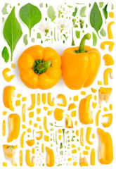 Yellow Pepper Collection Abstract