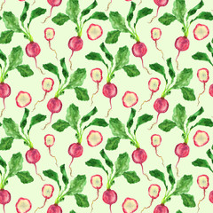 Illustration of radish on a light green background.