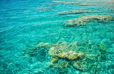Red sea transparent aquamarine water with bottom coral riffs view from above tropic natural background picture 