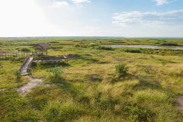 Small hut has a wooden bridge. Wide grassland In wetlands