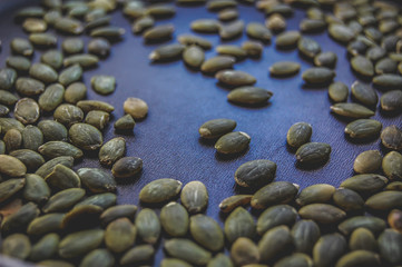 Fototapeta na wymiar Macro background of roasted pumpkin seeds. Dark food photo.