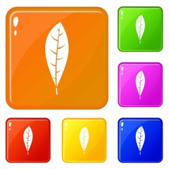 Leaf icons set collection vector 6 color isolated on white background