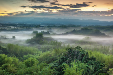 Serene Daybreak at a Misty Bamboo Valley