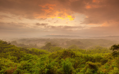 Naklejka na ściany i meble Serene Daybreak at a Misty Bamboo Valley