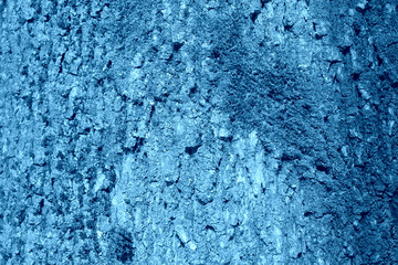 Fototapeta na wymiar The bark of an old tree covered with a moss close up. Natural abstract background blue color toned