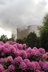 Garden in front of a coal-fired power station