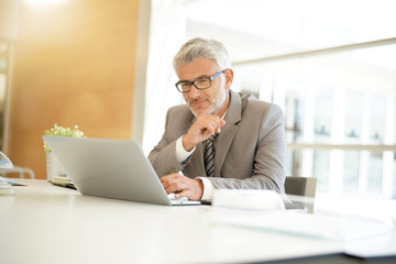 Mature businessman working on computer in corporate office