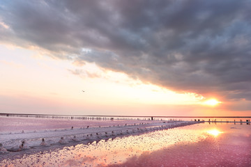 Obraz premium Unique salt lake with pink water and salt at sunset. Rows of wooden columns covered with salt crystals.
