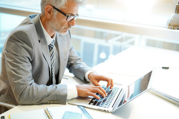 Mature businessman working on computer in corporate office