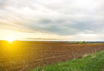 Spring field with bare ground. Nature eco friendly photo. Cereals planting. Last year corn branches. Agriculture concept. Wallpaper in the country.