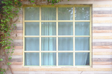 White frame window on a wooden wall of a house with fresh green ivy growing down from the roof