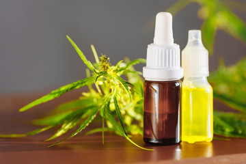 Cannabis plant herbal pharmaceutical CBD oil from jar. Wellness Hemp Cannabidiol. CBD oil bottles...