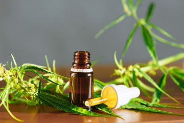 Cannabis plant herbal pharmaceutical CBD oil from jar. Wellness Hemp Cannabidiol. CBD oil bottles cannabis extract tincture liquid on wooden table. Medical marijuana concept. Place for copy space