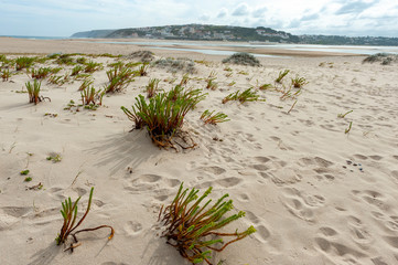 atlantic coast portugal