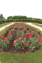 Old hunting lodge with a beautiful park