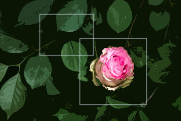 seamless background with roses and frame