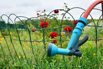 Garden watering. Watering hose with watering can close up.