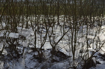 Eisige Landschaft