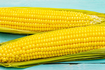 Fresh raw corn on cobs
