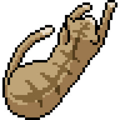 vector pixel art cat pet