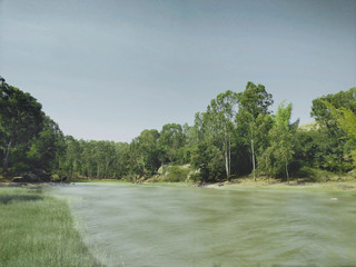 Water body amidst of trees in the middle of nowhere