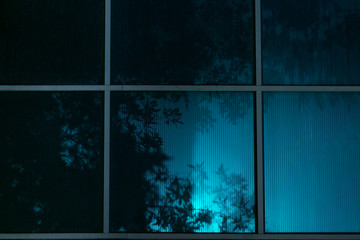 Large panoramic window with shadow of the leaves on the blue background