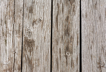 Wooden background. Old natural wooden shabby background.