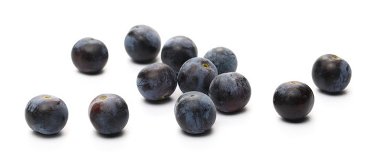 Blackthorn berries isolated on white background