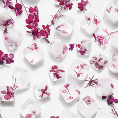Pink flowers in cubes of ice