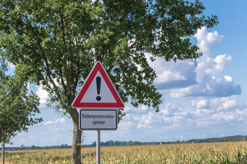 Warnschild Eichenprozessionsspinner am Strassenrand