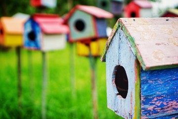 Wooden bird's nest that makes birds live 