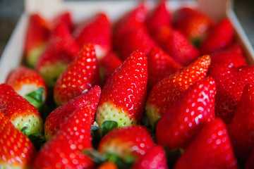 Fondo de fresas apetitosas y ecológicas.