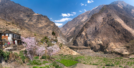 The view on Annapurna trek in Nepal