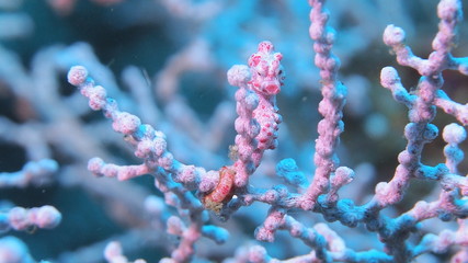 OLYMPUS DIGITAL CAMERA © HansJrgen