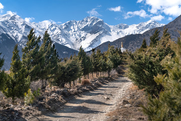 The view around Khutsab Terenga Ghumba on Annapurna trail track.