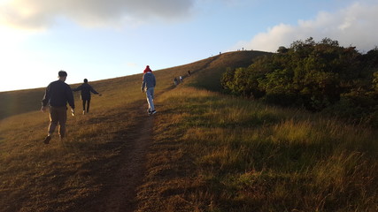 Obraz premium man walking on the road
