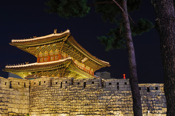 Fototapeta premium ソウル東大門の夜景