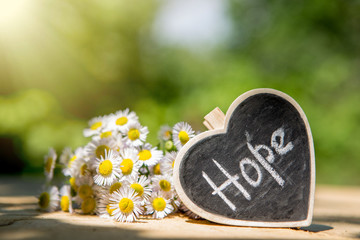 Obraz premium Hope - inscription on the heart, sharing hope concept, green bokeh background