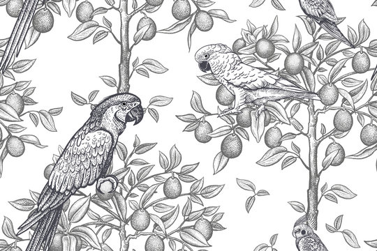 Trees and parrots. Seamless pattern. Black and white.