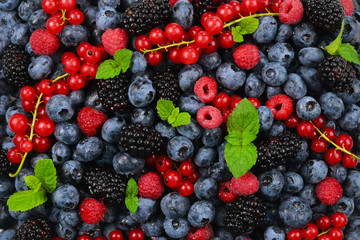 Blackberry, raspberry, blueberry,  red currant and mint background.