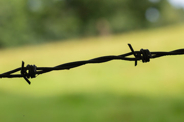 A single strand of barbed wire can make an effective and inexpensive fence for agriculture