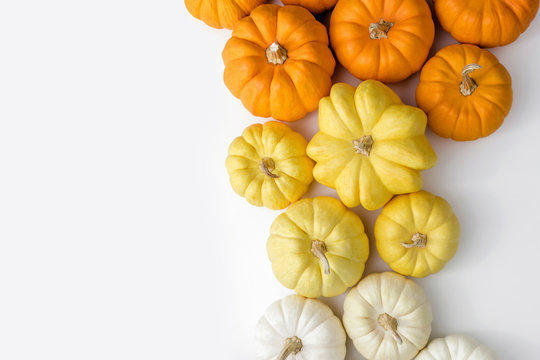 Colorful pumpkins on a white background, creative flat lay thanksgiving concept, top view woth copy space