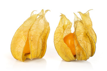 Group of two whole fresh orange physalis with husk isolated on white background