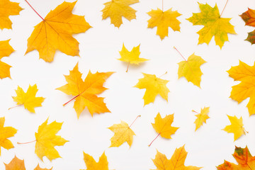 Autumn background with yellow maple leaves randomly falling