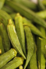 ladyfinger in INDIA is a vegetable is hybrid 
